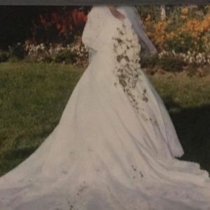 Preserved Wedding Dress